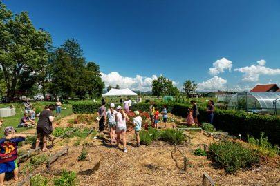 MENIHOV VRT V BISTRI – NAJBOLJ DIŠEČE DOŽIVETJE TEGA POLETJA! 1